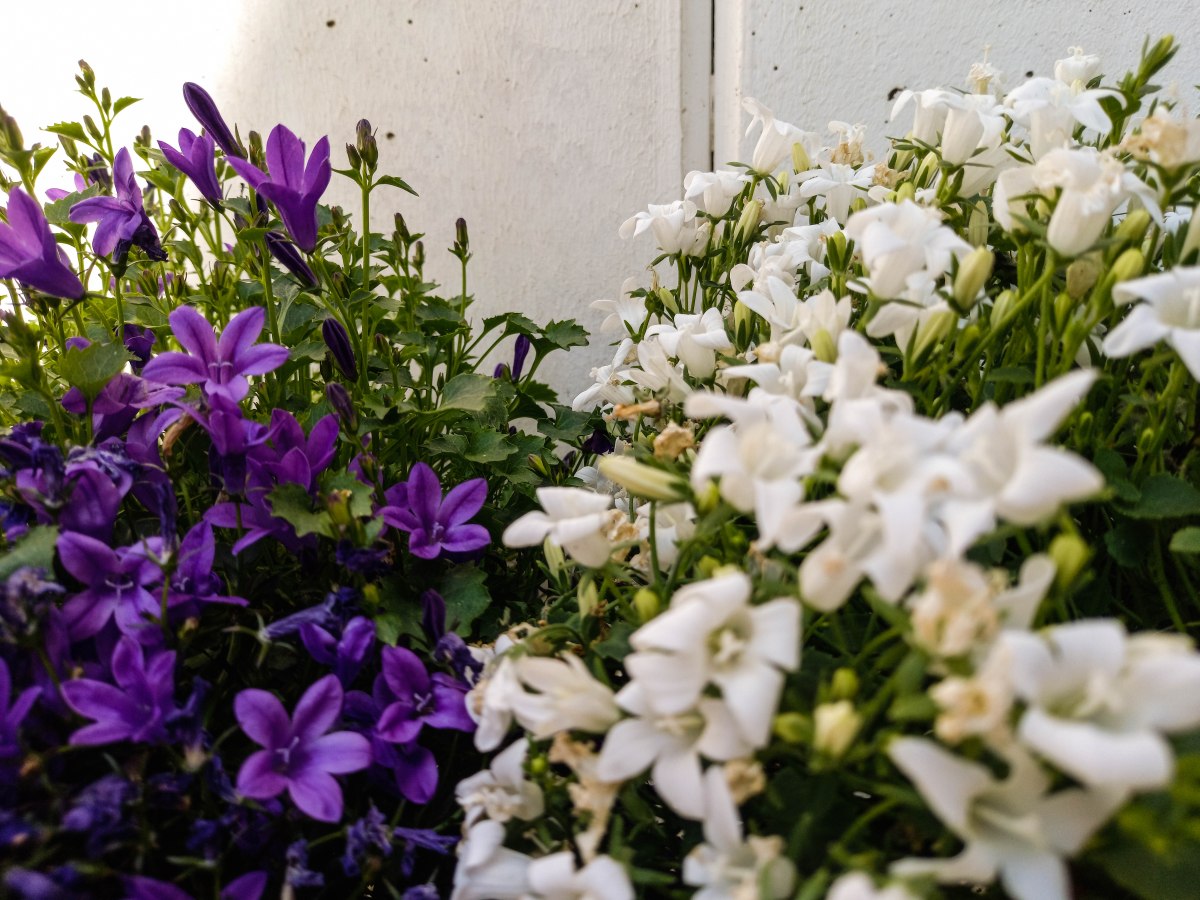 Warum ein Dokument nicht einfach nur ein Dokument&nbsp;ist